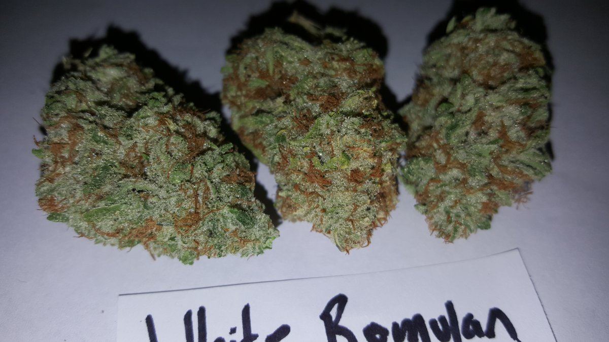 Wht Romulan 10 2015 4