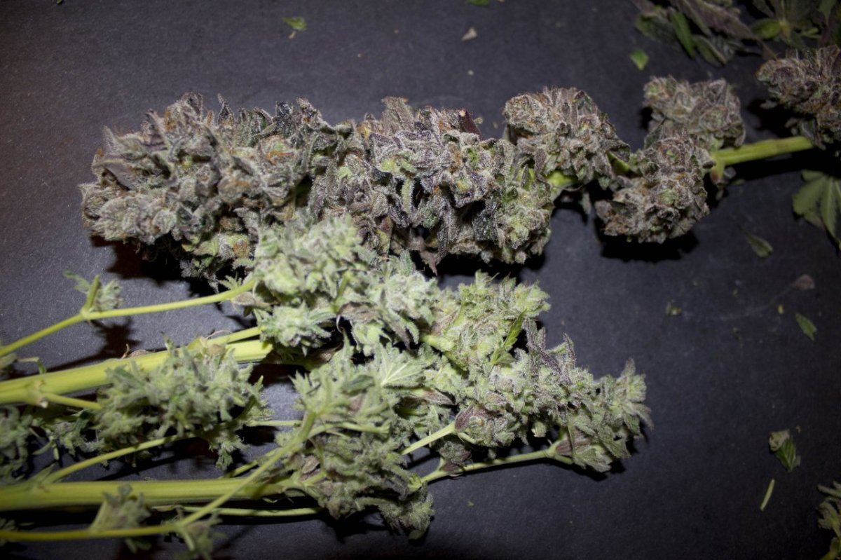 Whurkle01