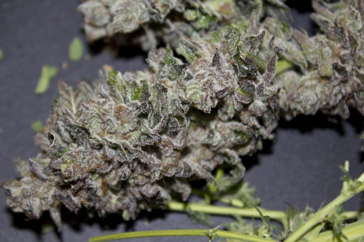 Whurkle02