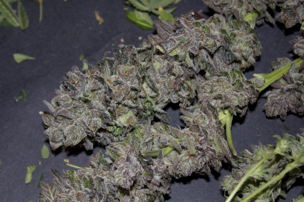 Whurkle03