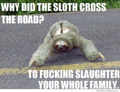 Why did the sloth cross the road