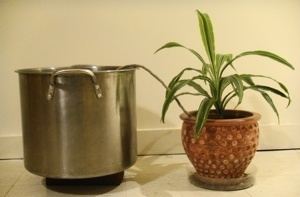 Wick watering s1