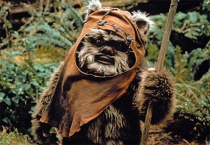 Wicket