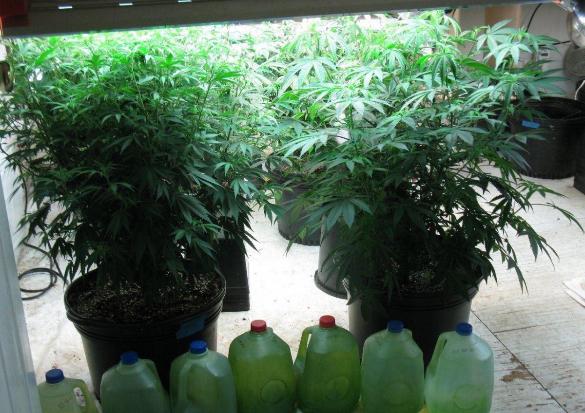 Wifi bx bigs 001
