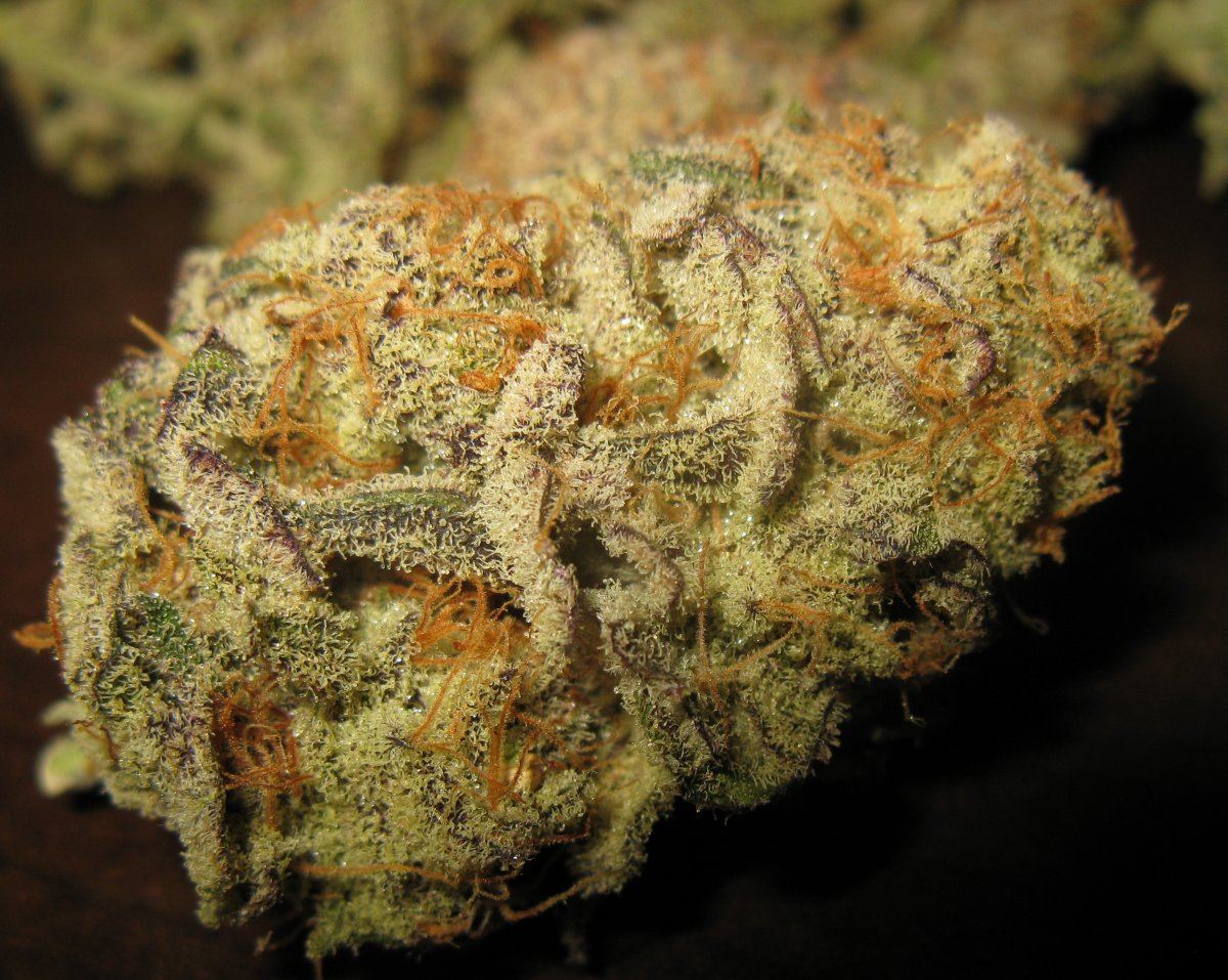 Wifi nug shots 005
