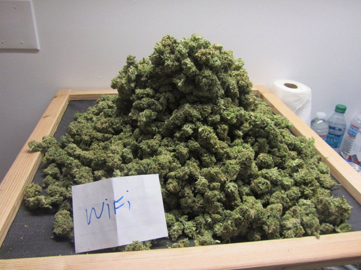 Wifi Sample 004