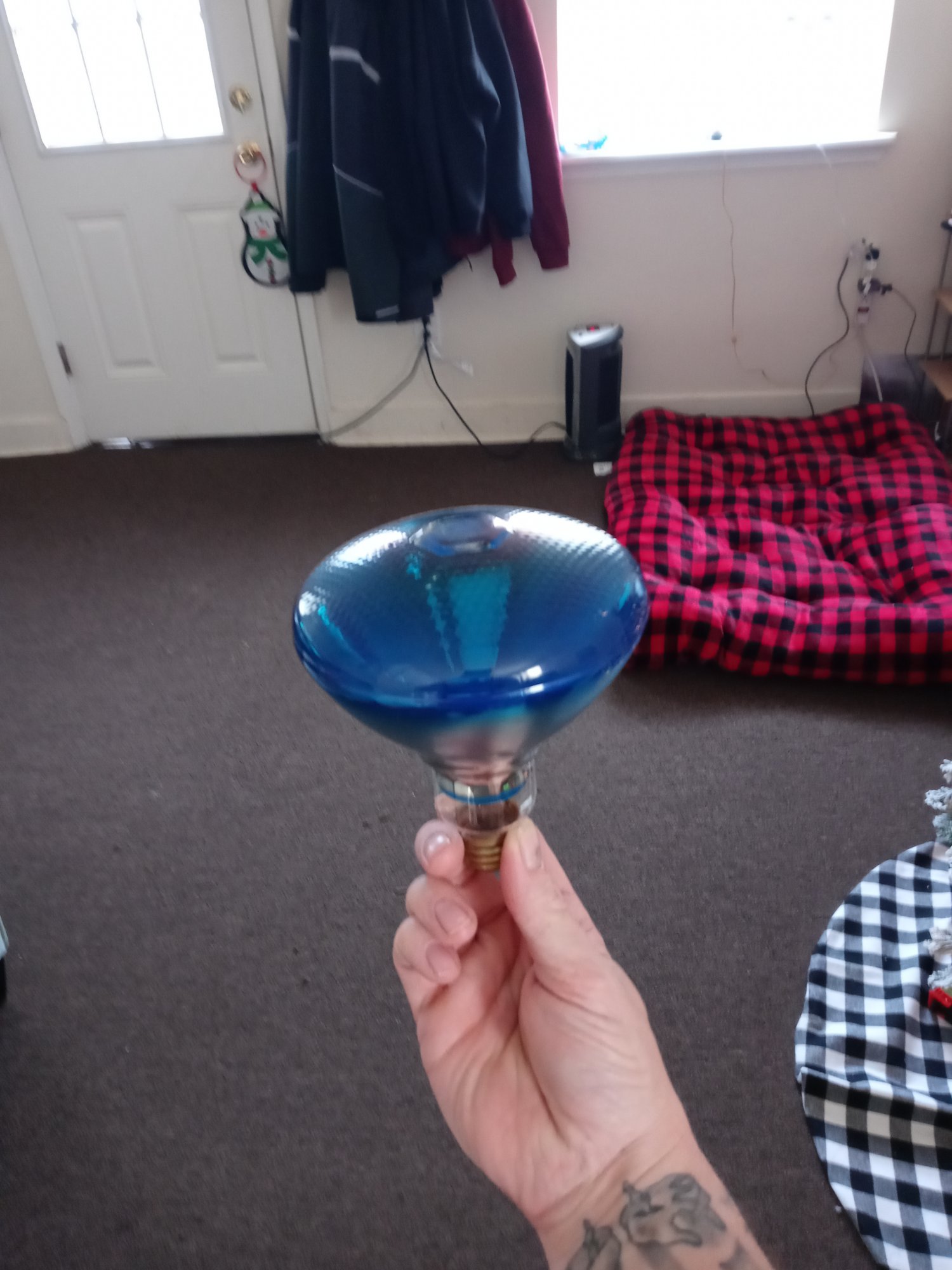 Will adding this bulb help my lighting 2
