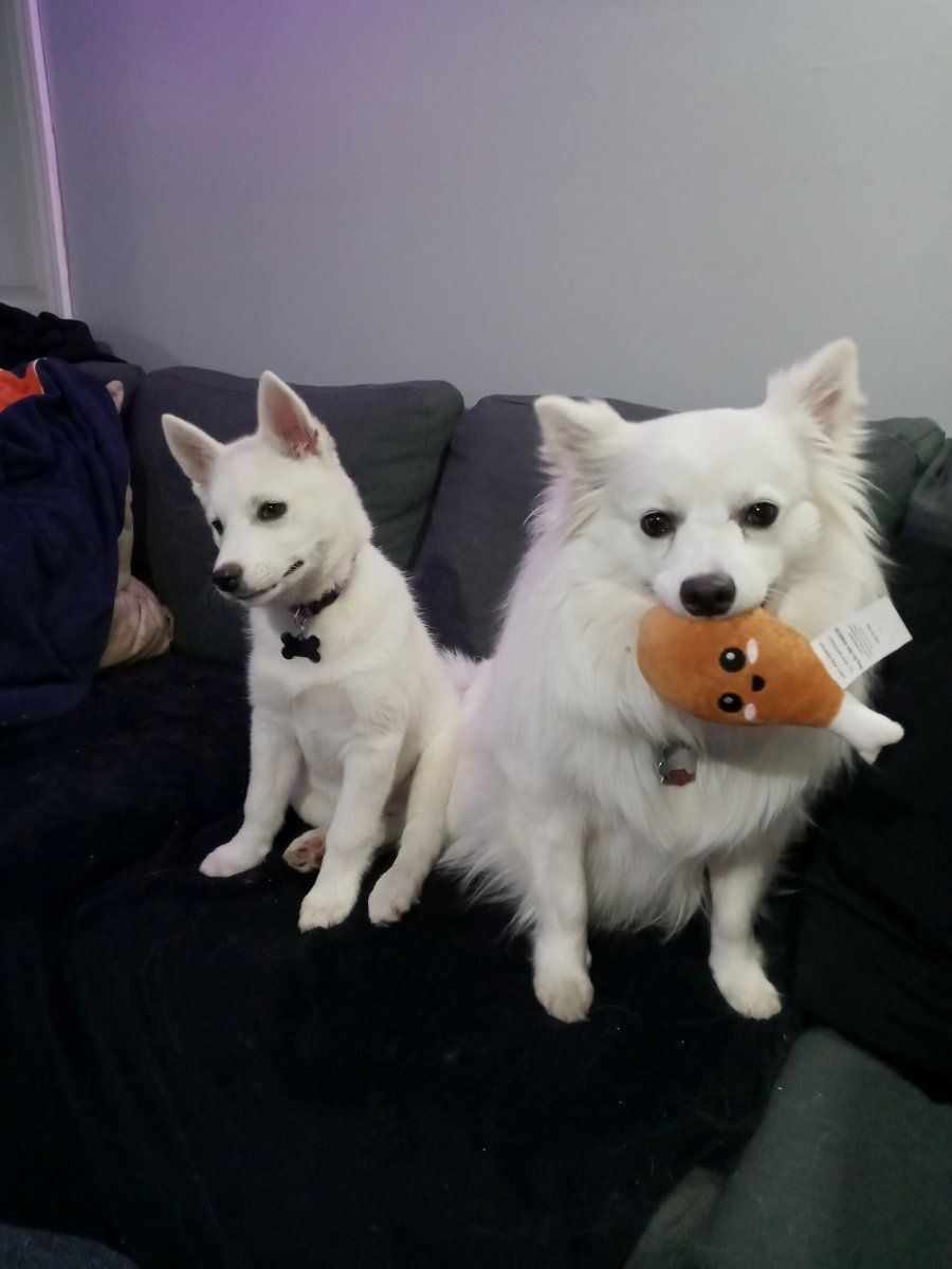 Willy and Luna