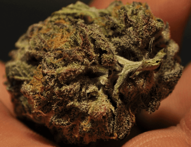 Wine purp