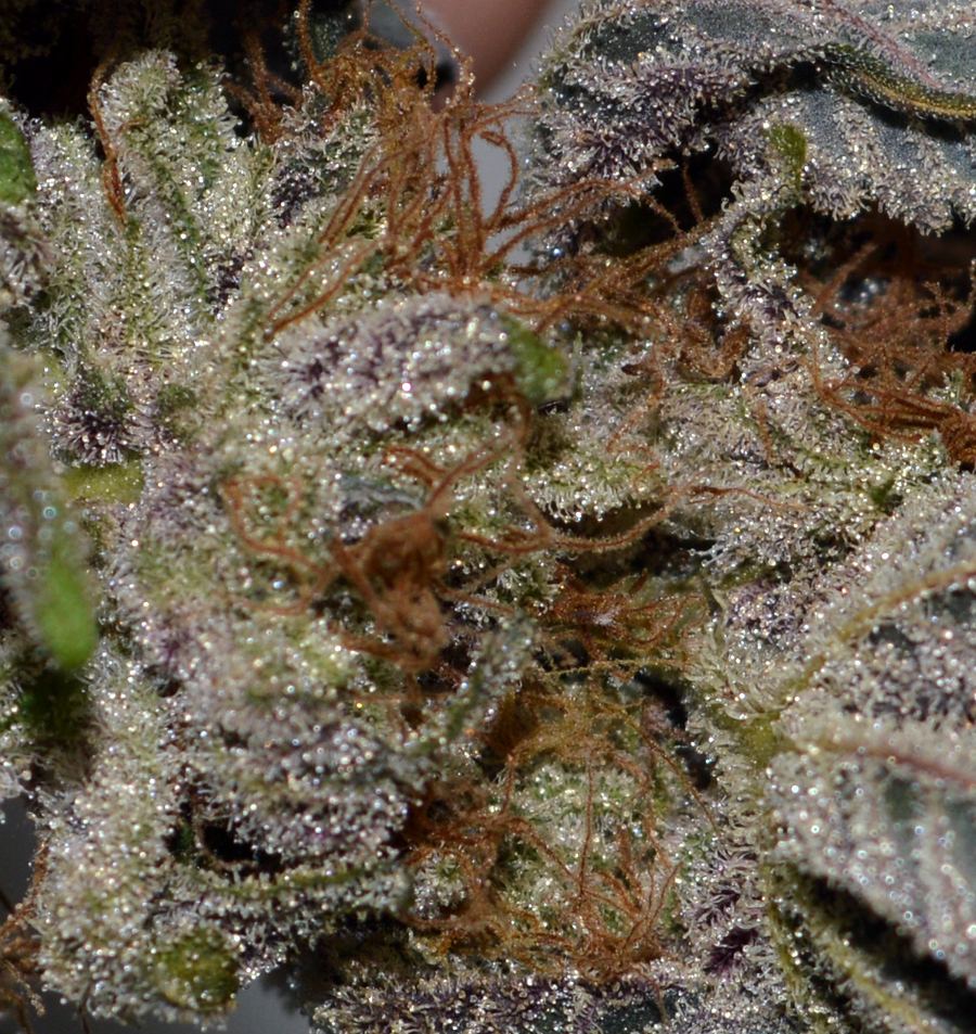 Wineballs pink cu
