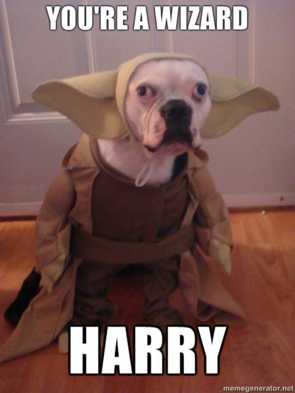 Wizard1