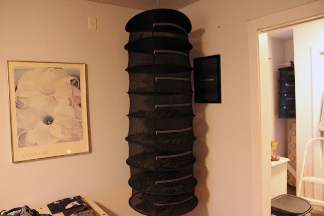 Wk 22 Day 4 Dry Rack