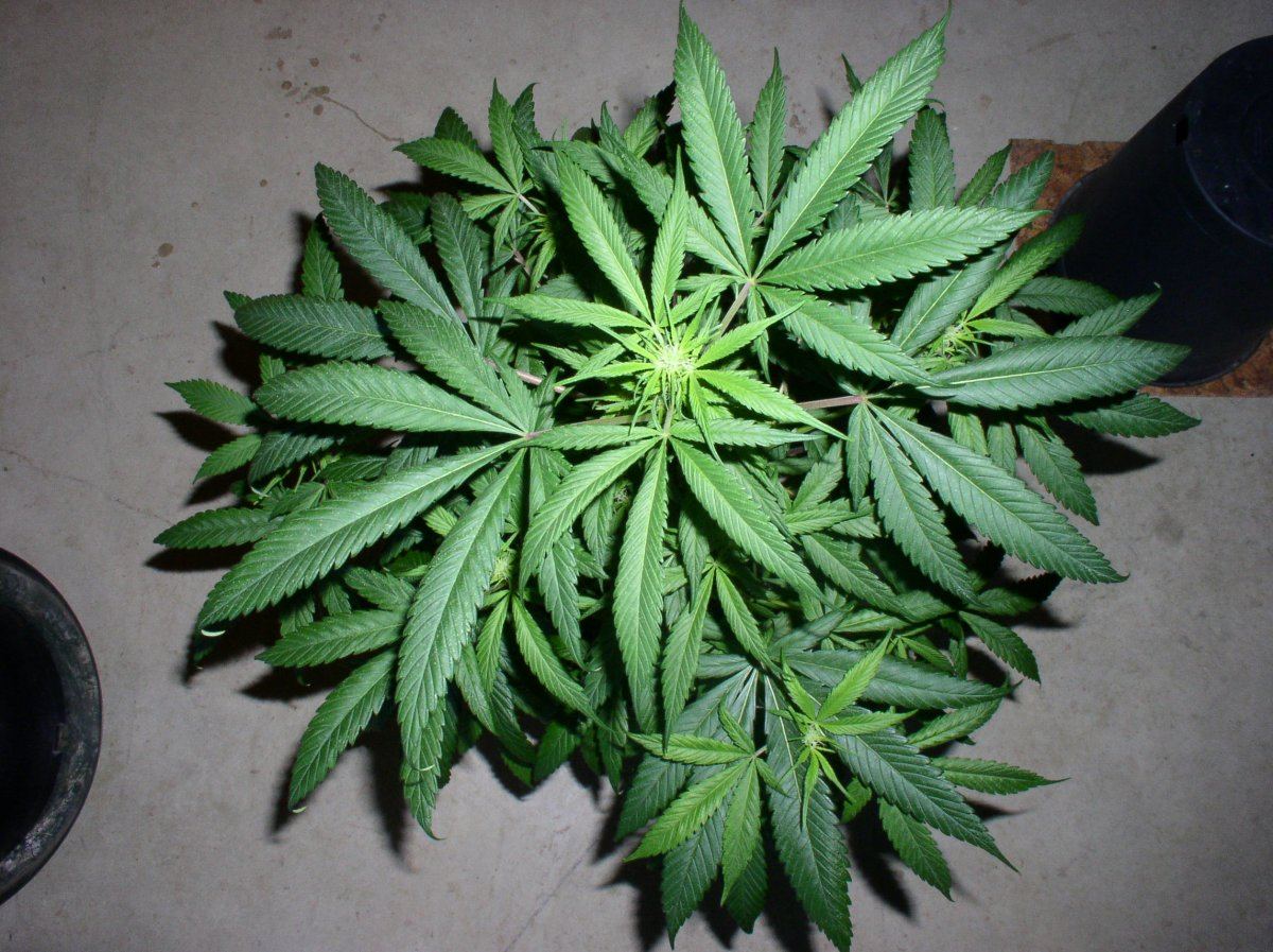 WK2BBMS1 3