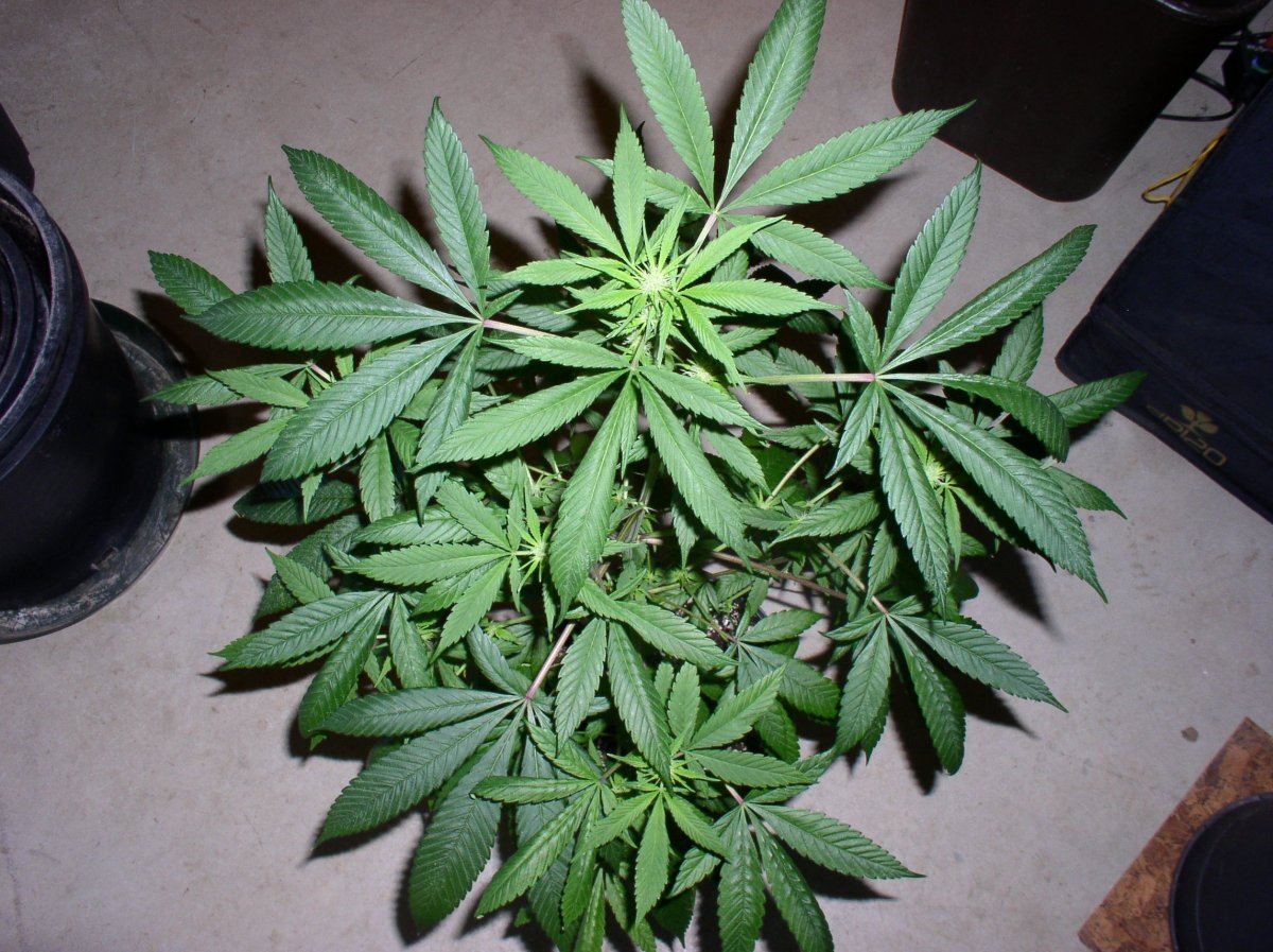 WK2BBMS3 3