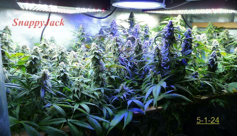 WK8 2