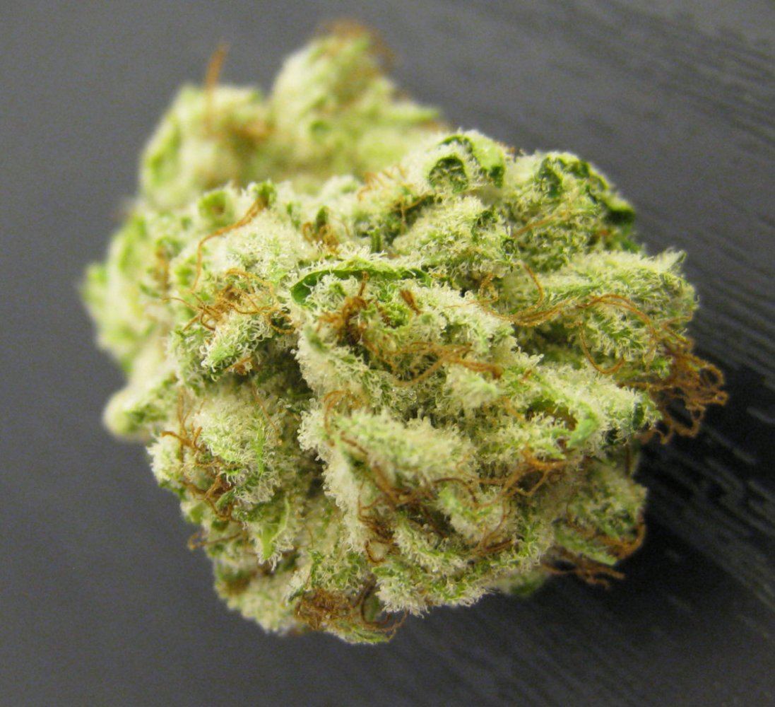 WMK DNugs04