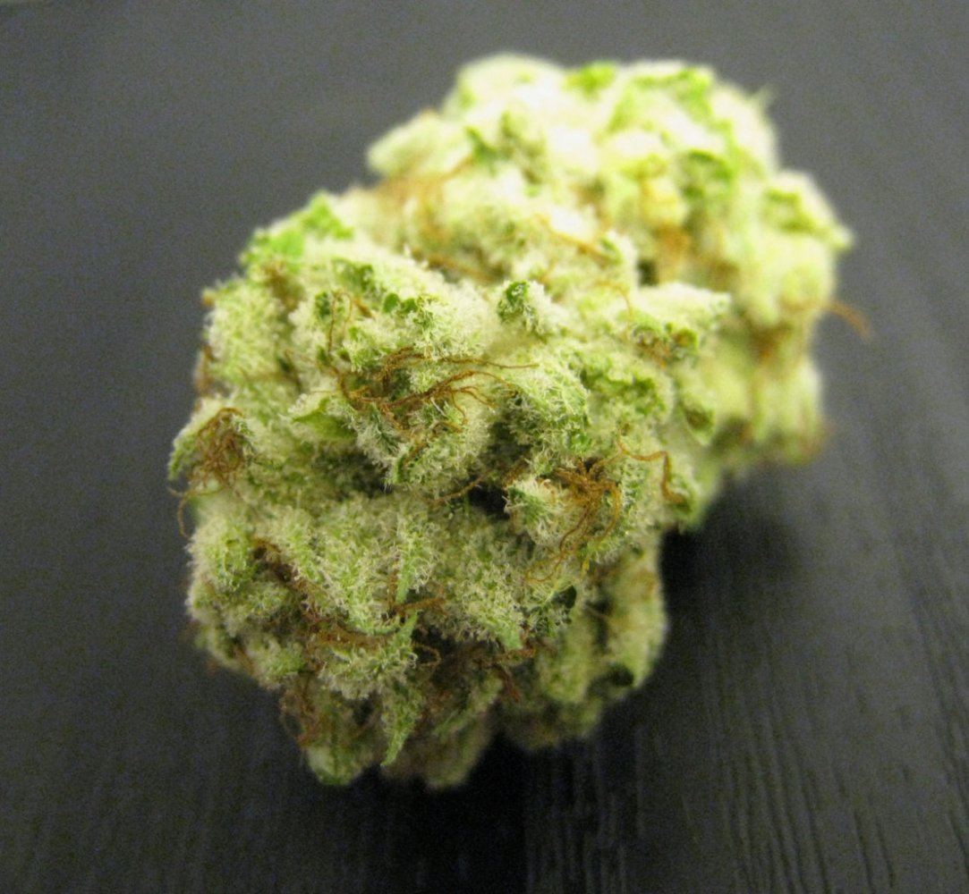 WMK DNugs06