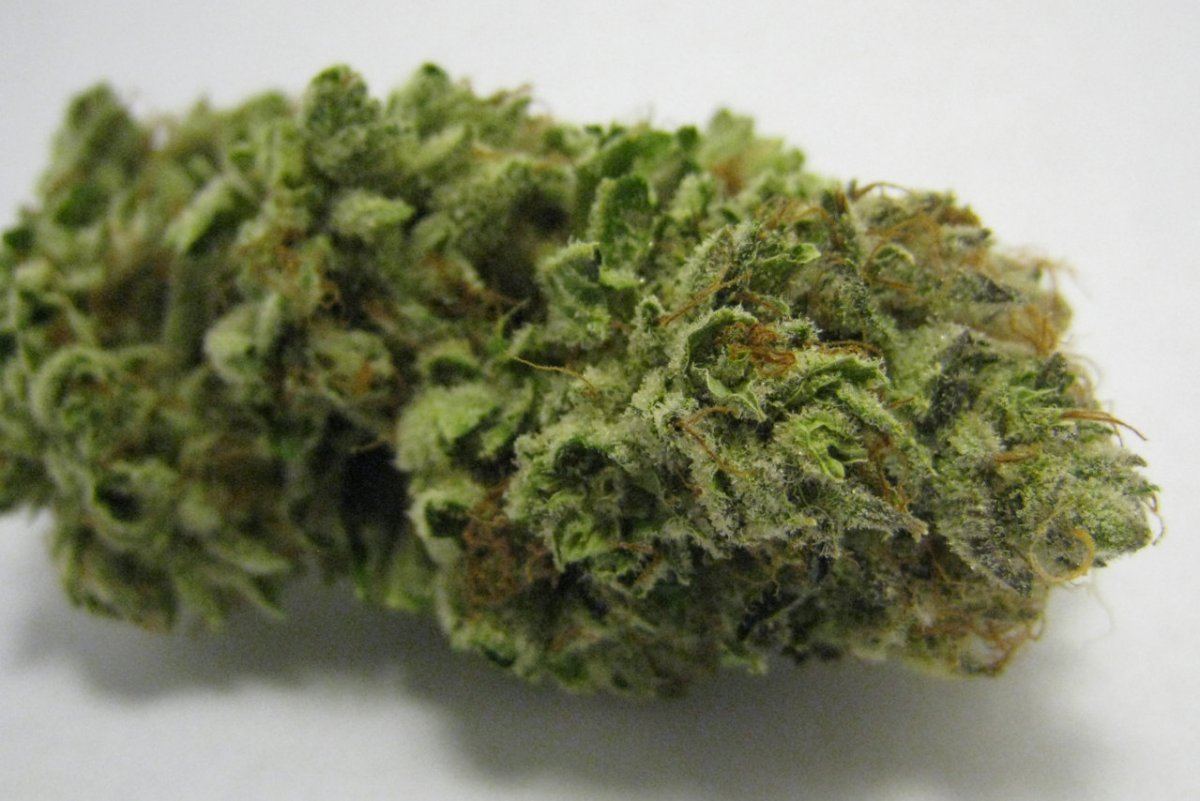 WMK DNugs08