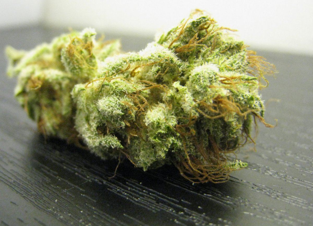 WMK DNugs15