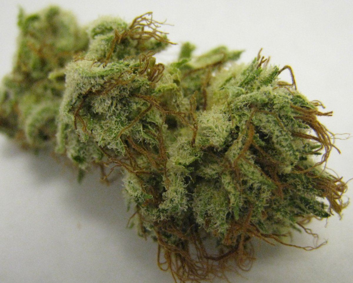 WMK DNugs16