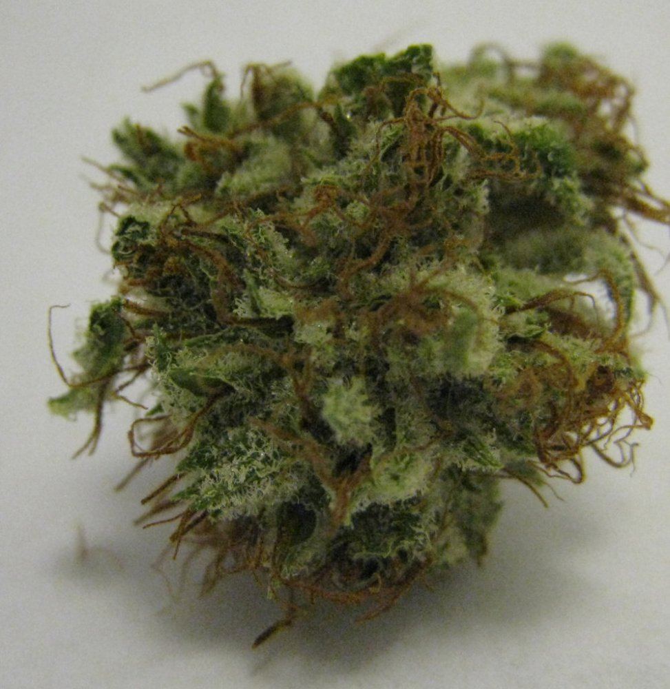 WMK DNugs18