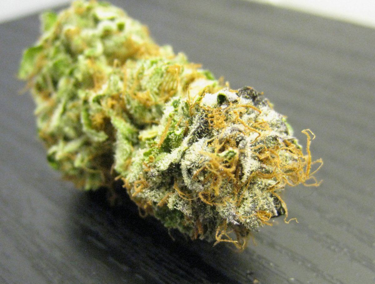 WMK DNugs22