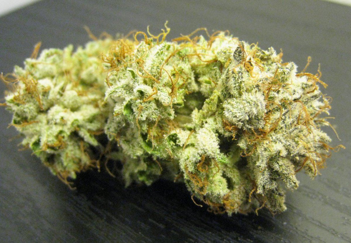 WMK DNugs26