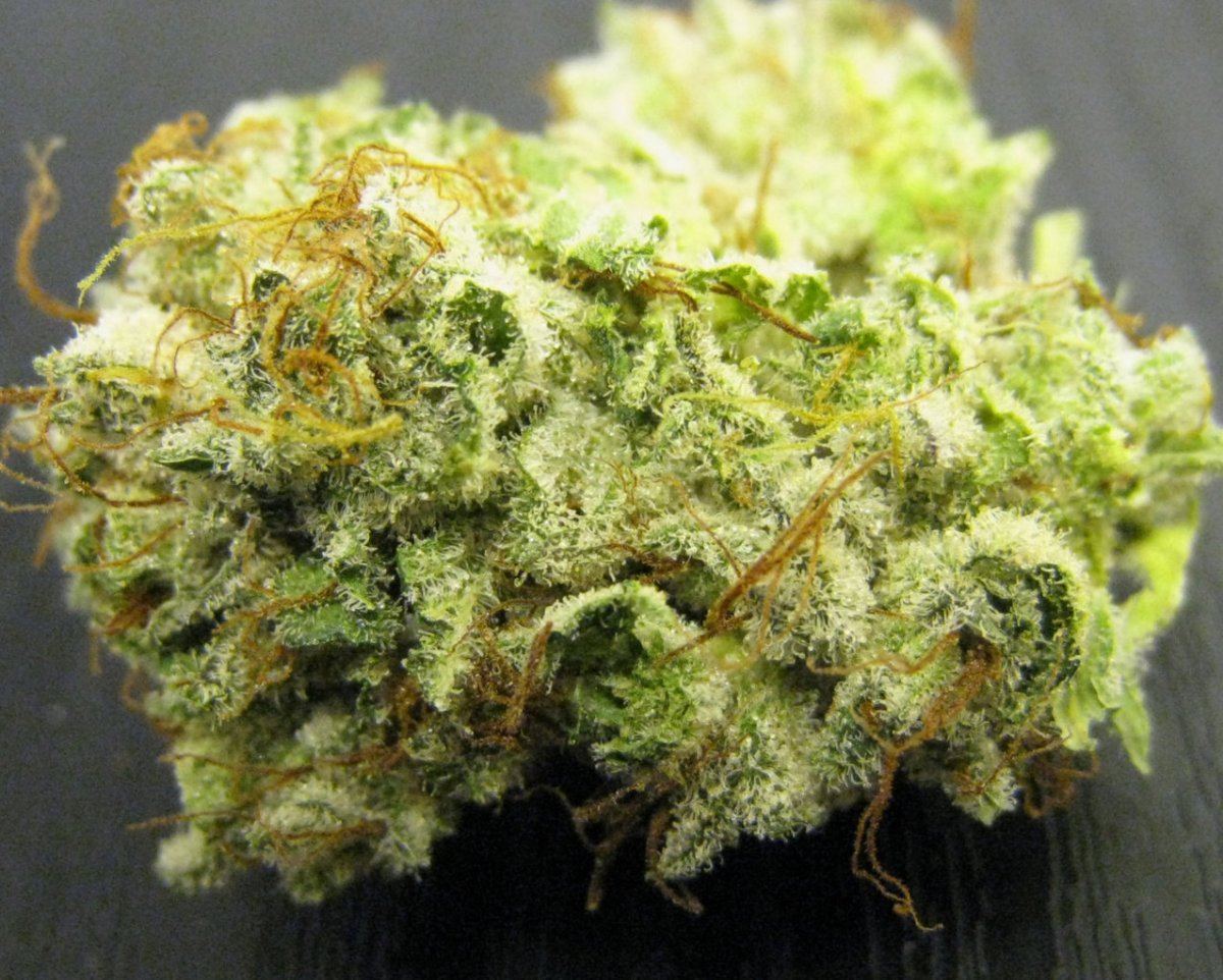 WMK DNugs29