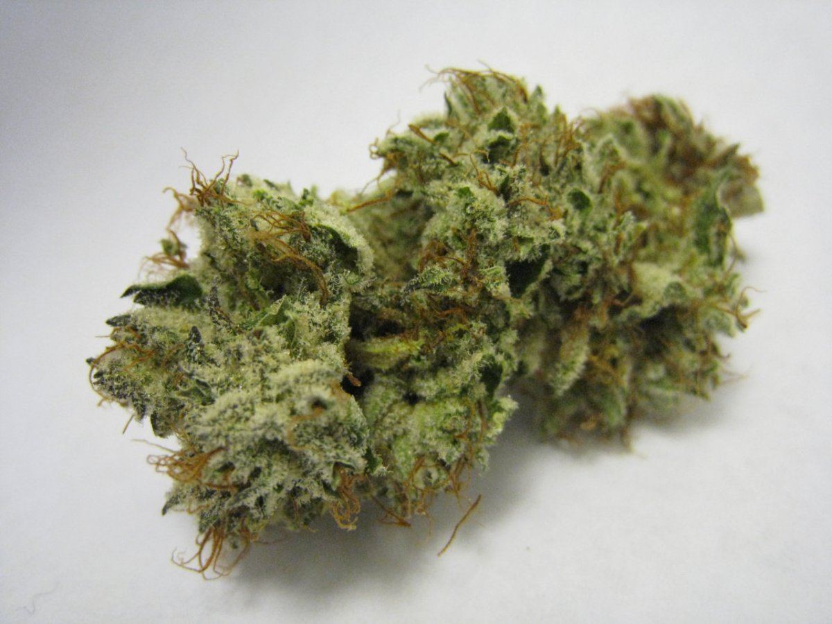 WMK DNugs32
