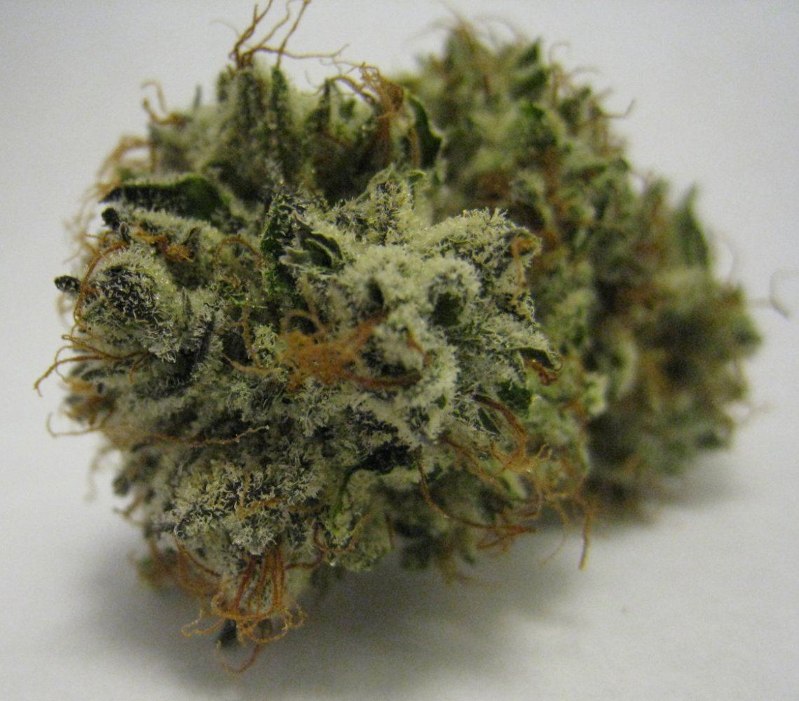 WMK DNugs33