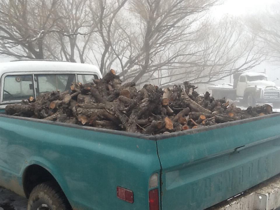 Wood