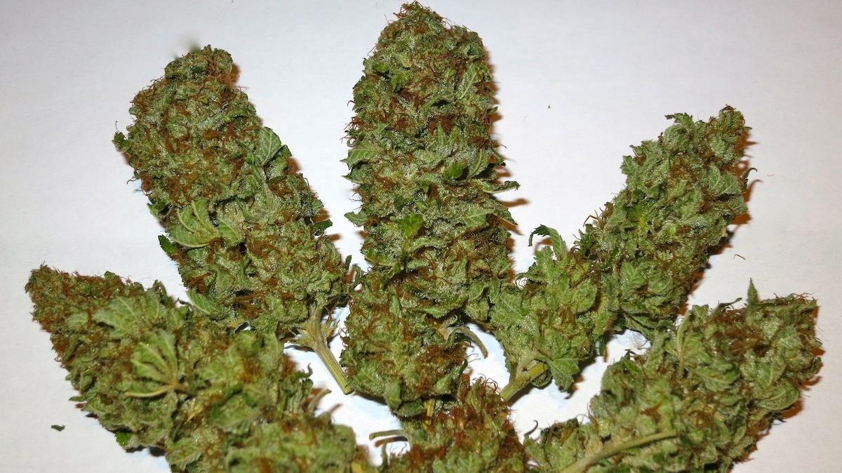 WOODYRO sf
