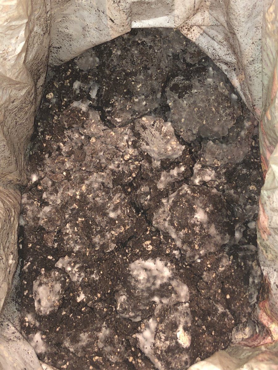 Would you use this moldy soil