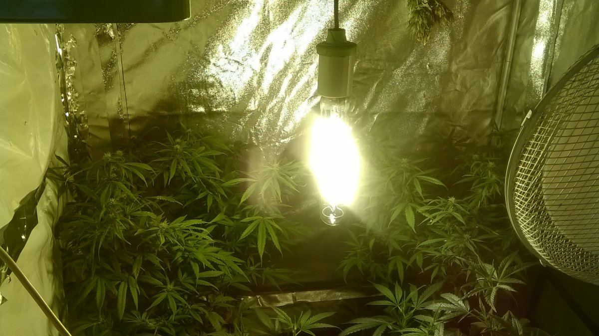 WP 20160308 22 20 24 Pro