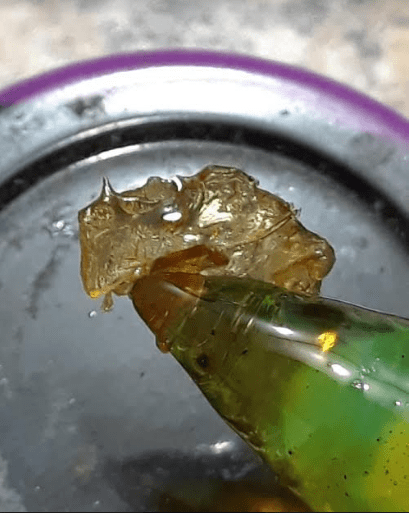 Ws4ububblehash71219