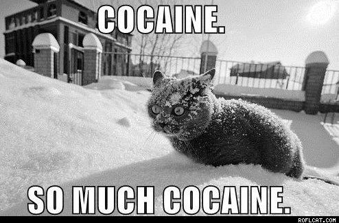 XCocaine So Much CocainepagespeedicZsvxC0vNiL