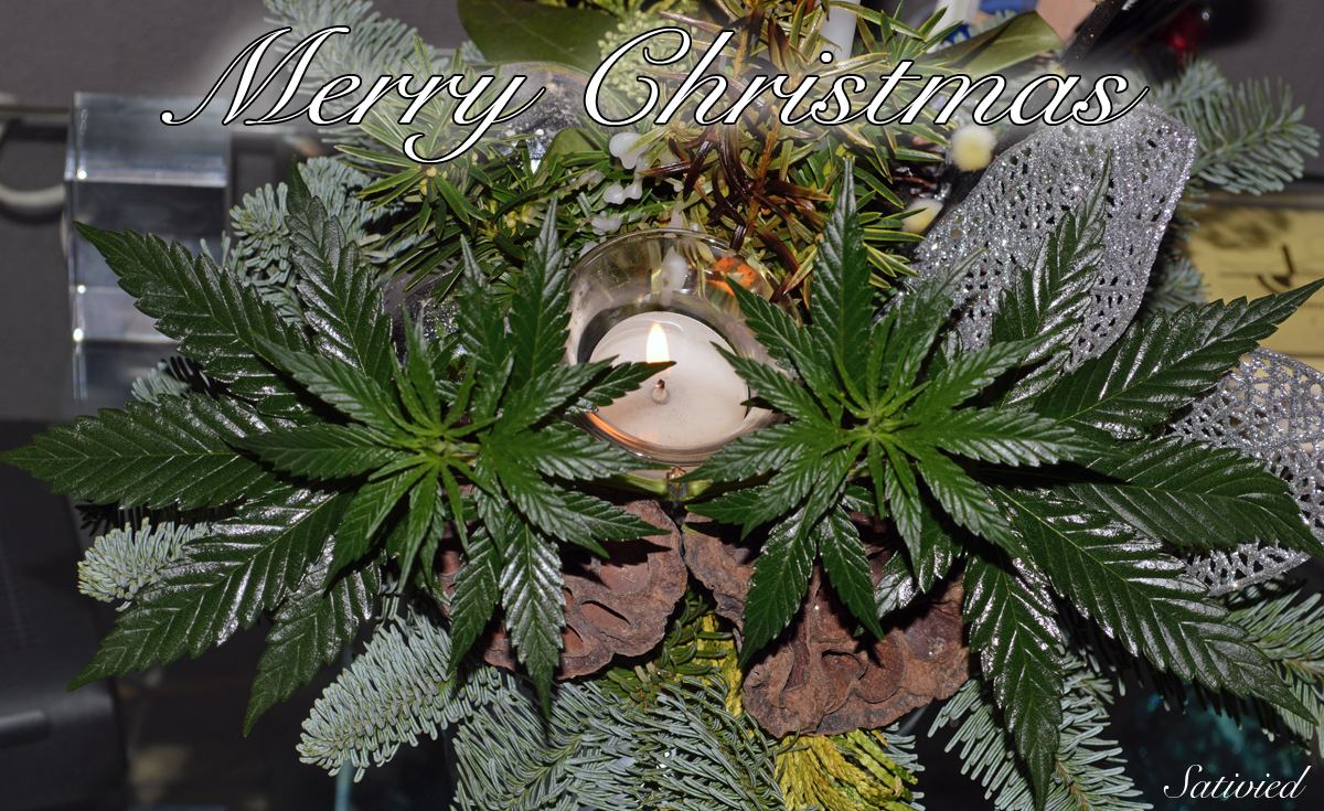 Xmas