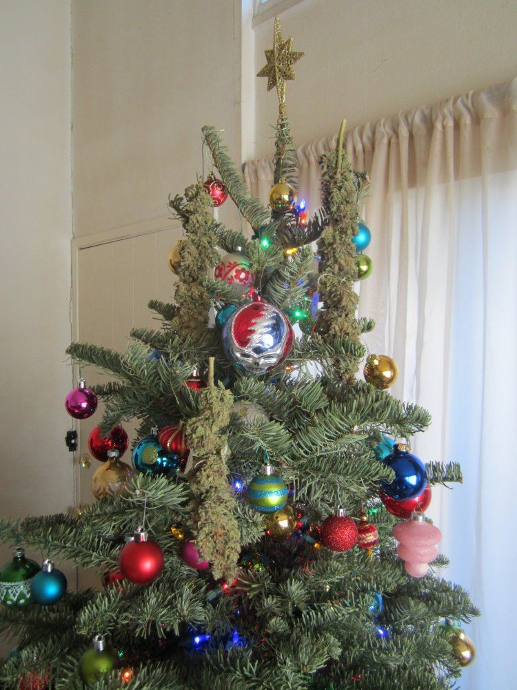 Xmas1