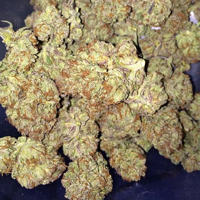 Xxxnugs