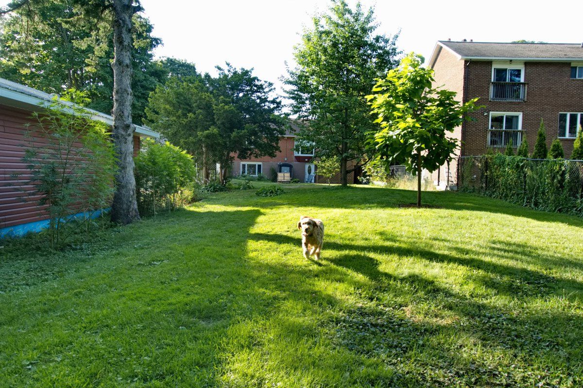 Yard2025