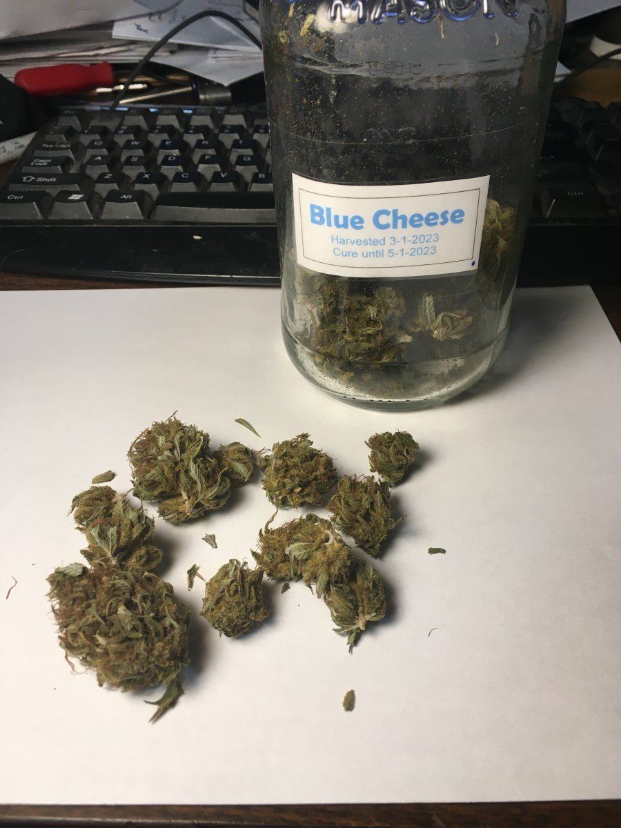 Year old Blue Cheese 1