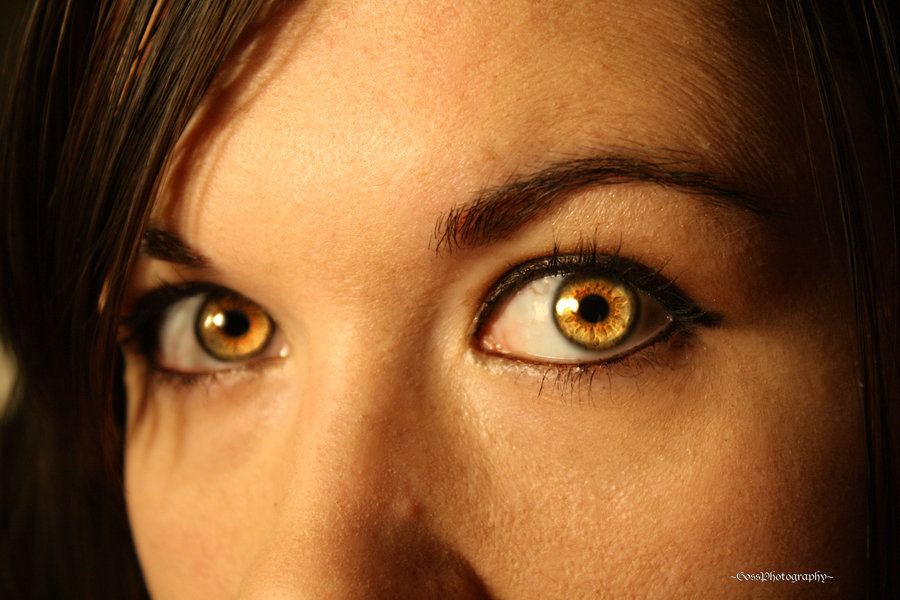 Yellow eyes by claytons girl 4 ever d5r6lnc