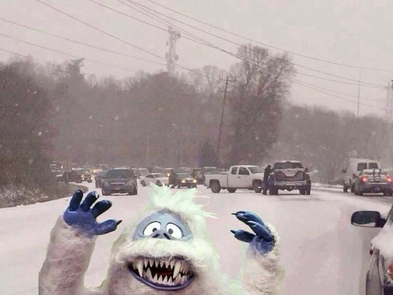 Yeti
