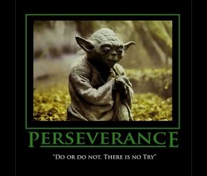 Yoda do or do not there is no try