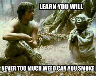 Yoda