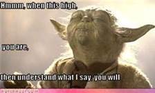 Yoda