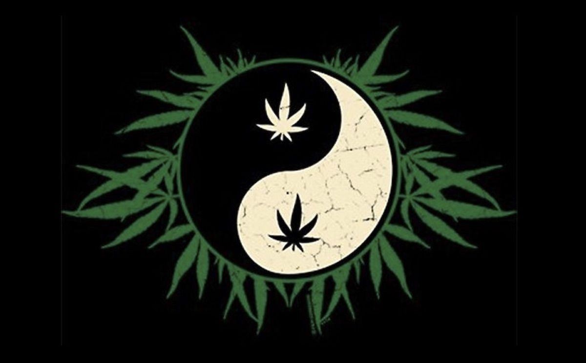 YY