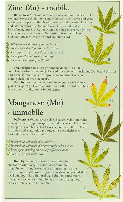 Zinc Manganese