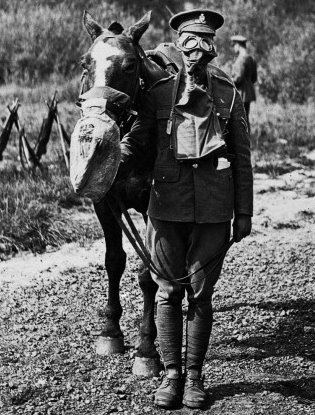 wellcome-horses-gas-maskl0031952-lr-716481-jpg.205727