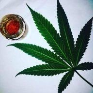 420 Genetix